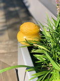 Turmeric Scrub